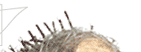 ein Haar